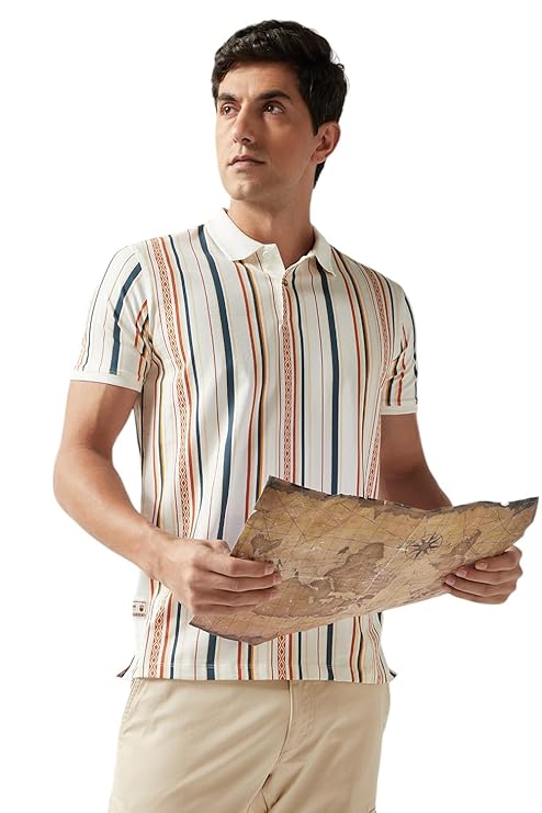 Louis Philippe Men's Cotton Striped Slim Fit T-Shirt
